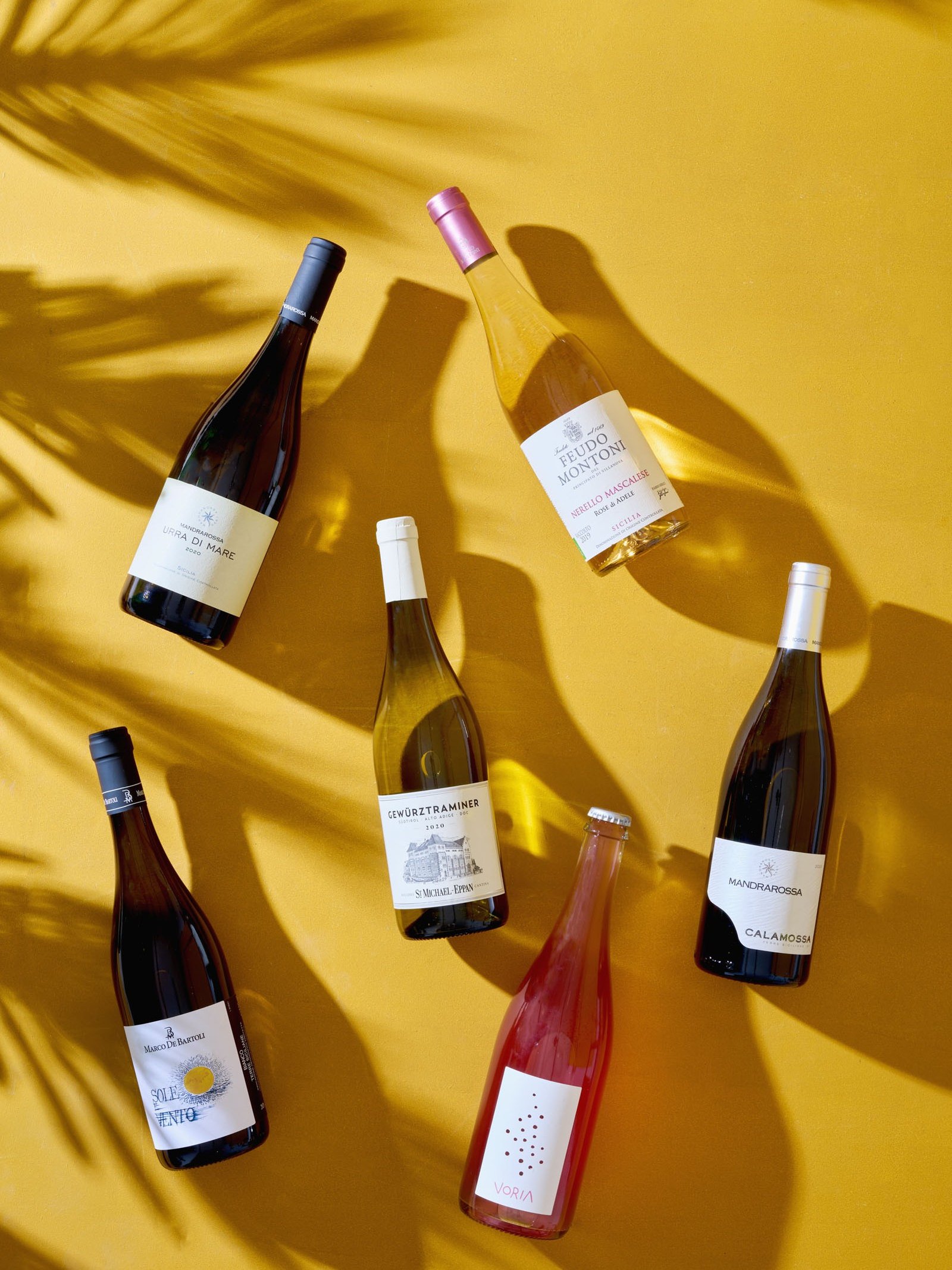 Sei bottiglie di vino coricate su un fondo giallo, attraversate dalle ombre delle foglie di palma